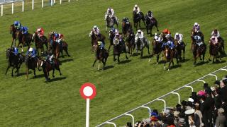Royal Ascot action